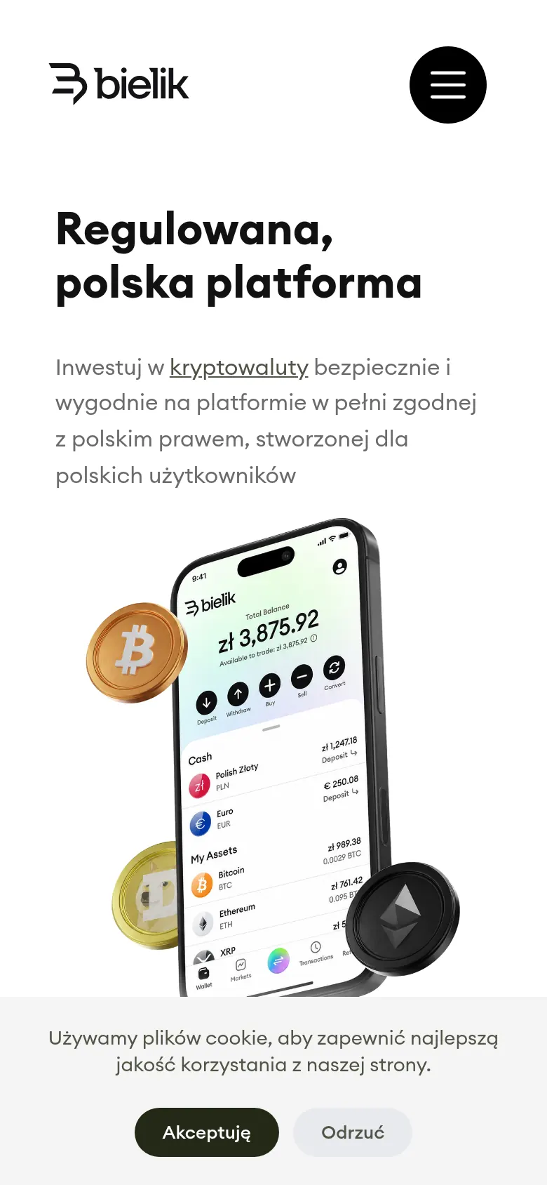 Bielik website on a phone